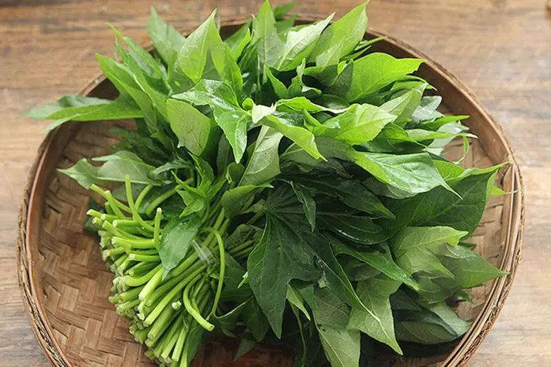 Rau lang - mớ - Siêu thị Cát Tường