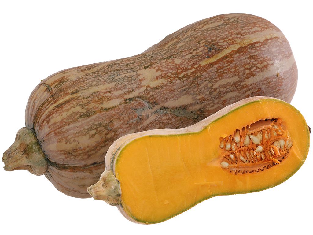 Bí đỏ hồ lô túi 700g (1 trái) 7