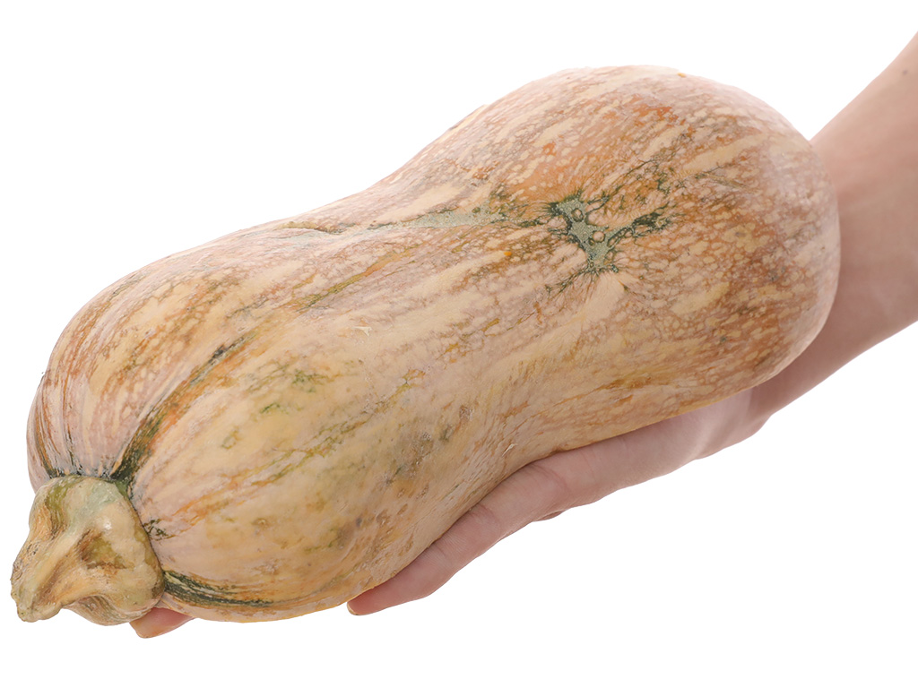 Bí đỏ hồ lô túi 700g (1 trái) 10