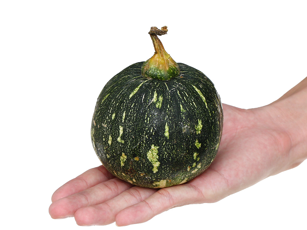 Bí đỏ non trái (250g - 350g) 5