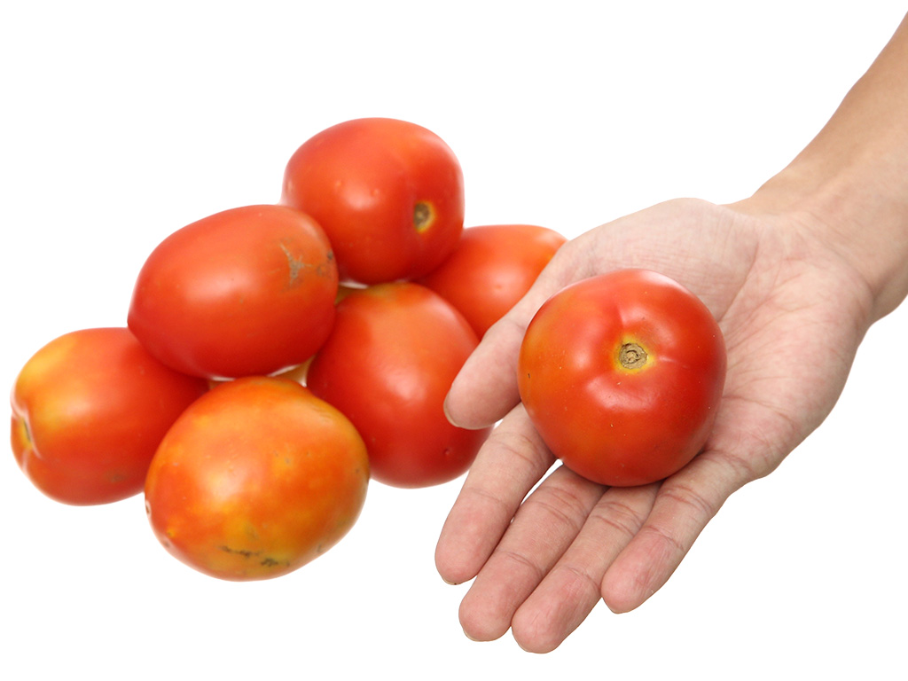 Cà chua túi 1kg (10 - 12 trái) 8