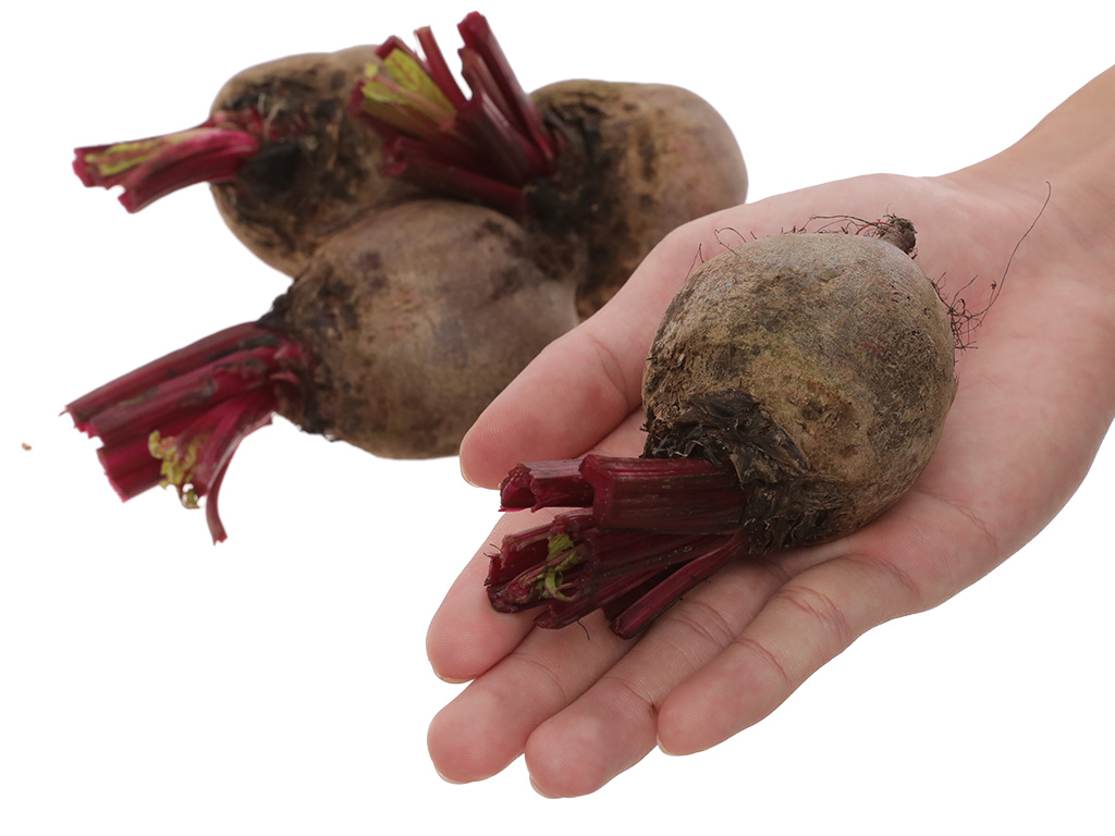 Củ dền túi 500g (2 - 5 củ) 8