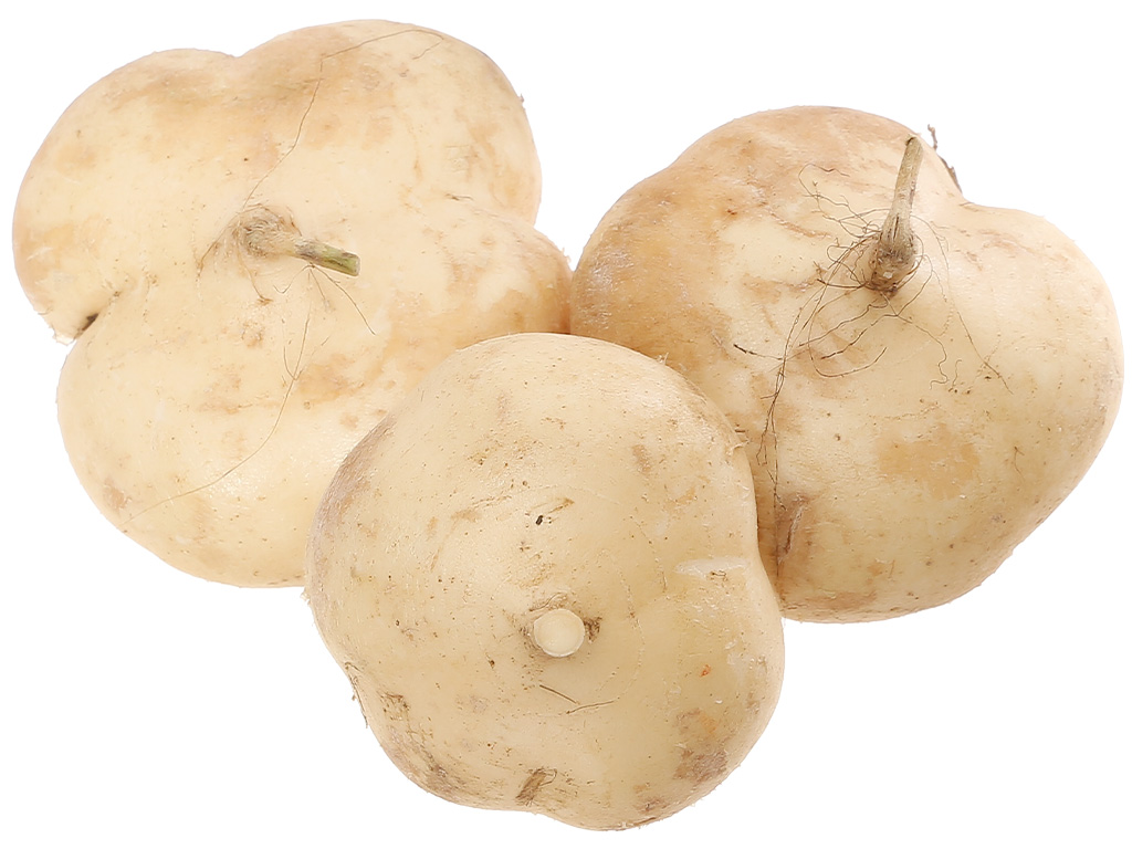 Củ sắn túi 1kg (3 - 5 củ) 12