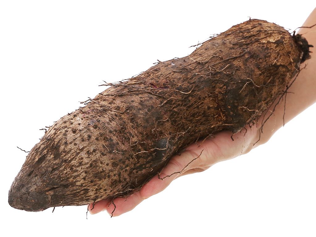 Khoai mỡ túi 1kg (1 - 2 củ) 10