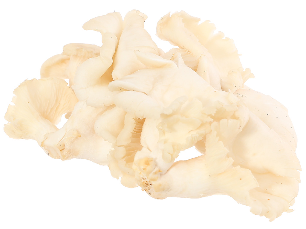 Nấm bào ngư trắng gói 300g 10