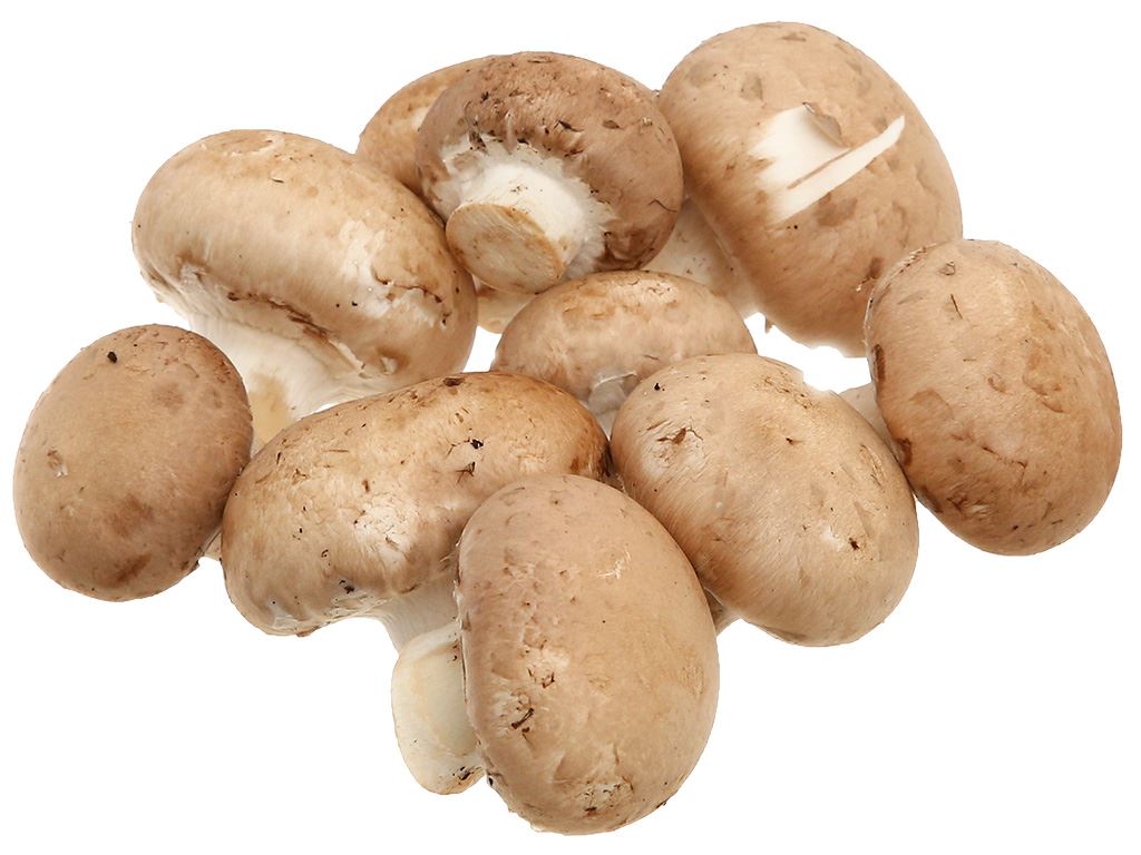 Nấm mỡ nâu hộp 150g 1