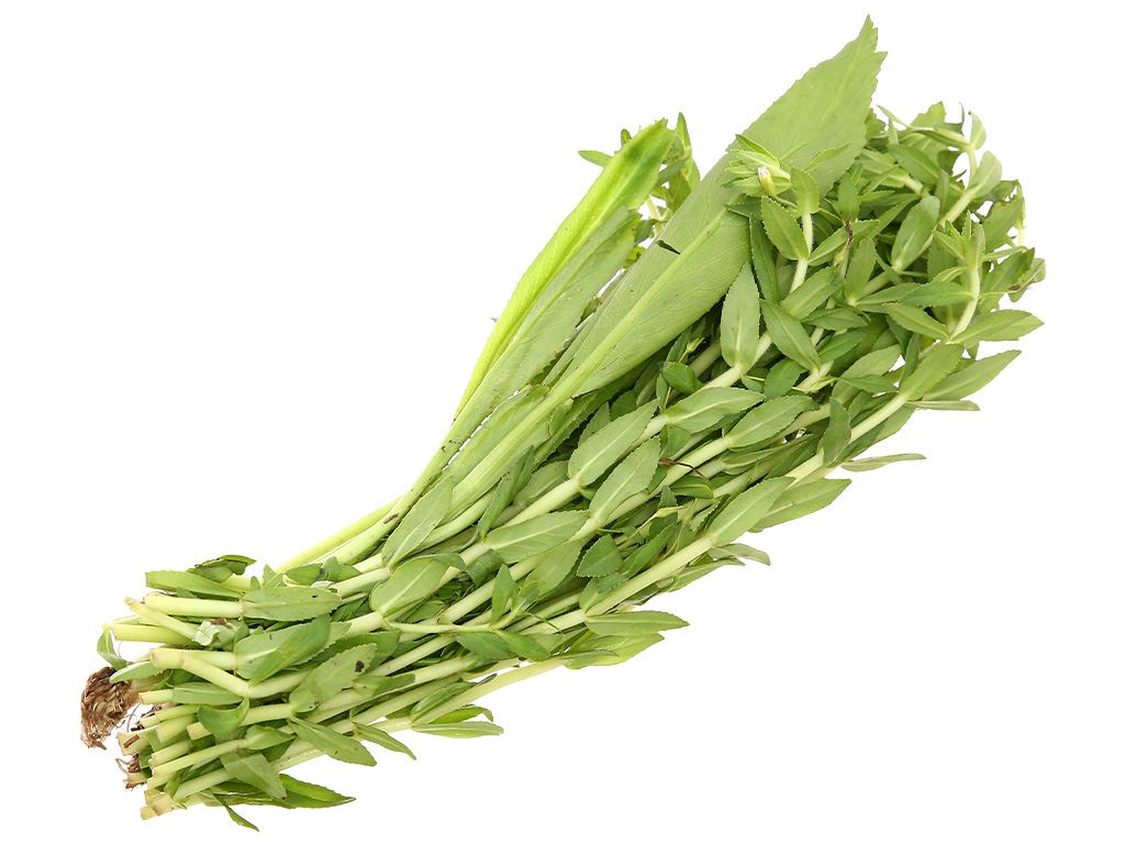 Ngò gai, rau om gói 100g 13