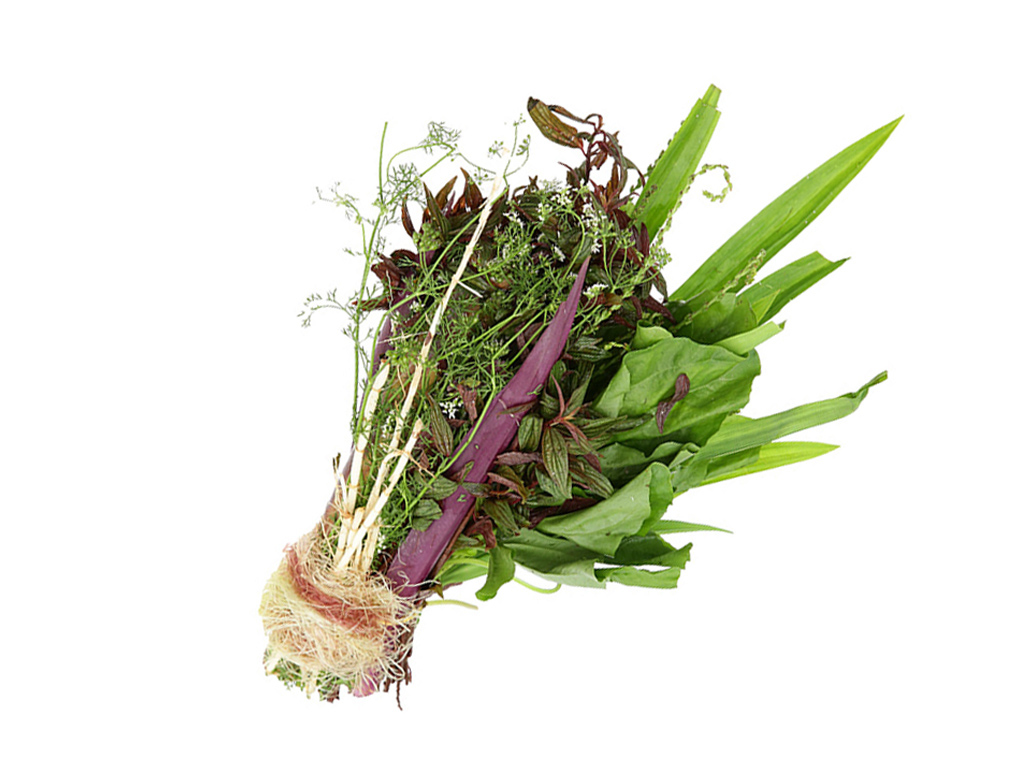 Nguyên liệu nấu nước mát gói 500g 2