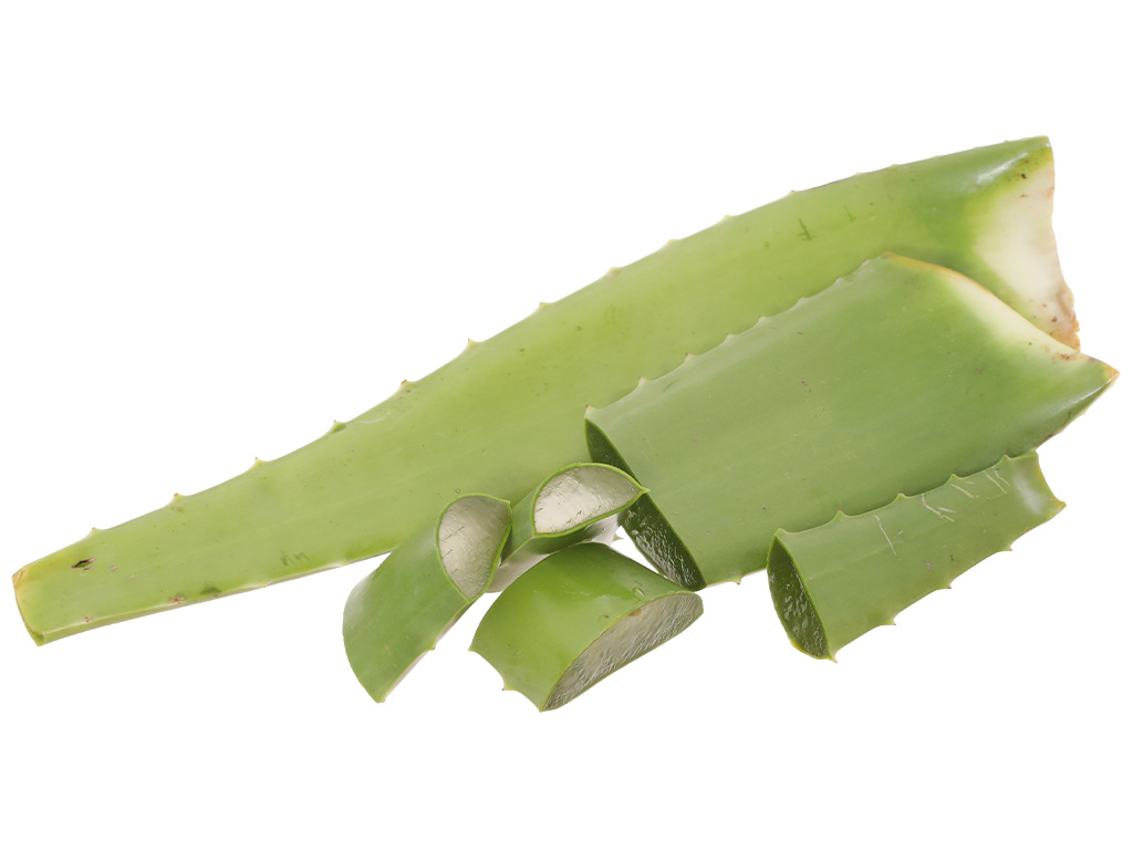 Nha đam túi 500g (1-2 bẹ) 8