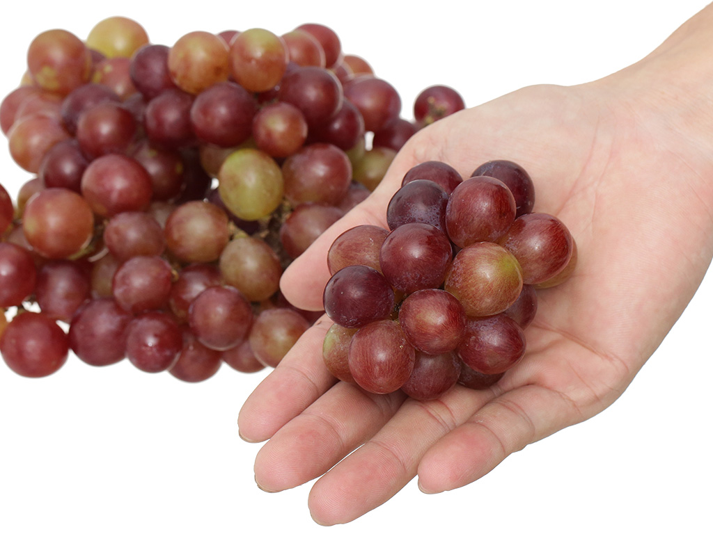 Nho đỏ Ninh Thuận hộp 500gr 5