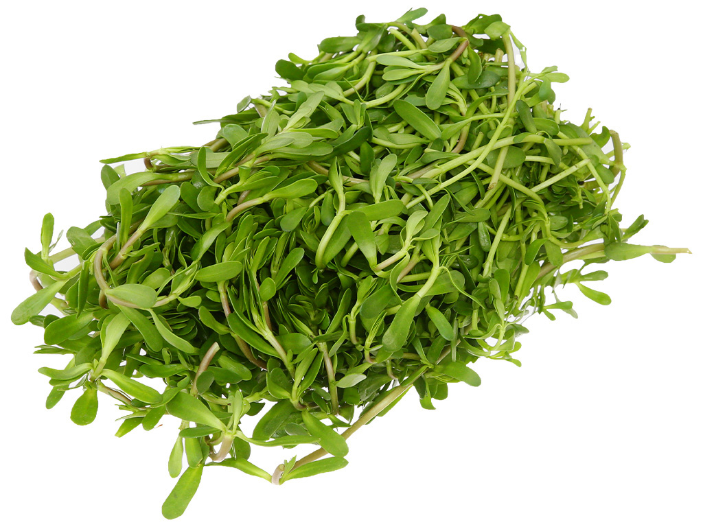 Rau đắng gói 200g 2