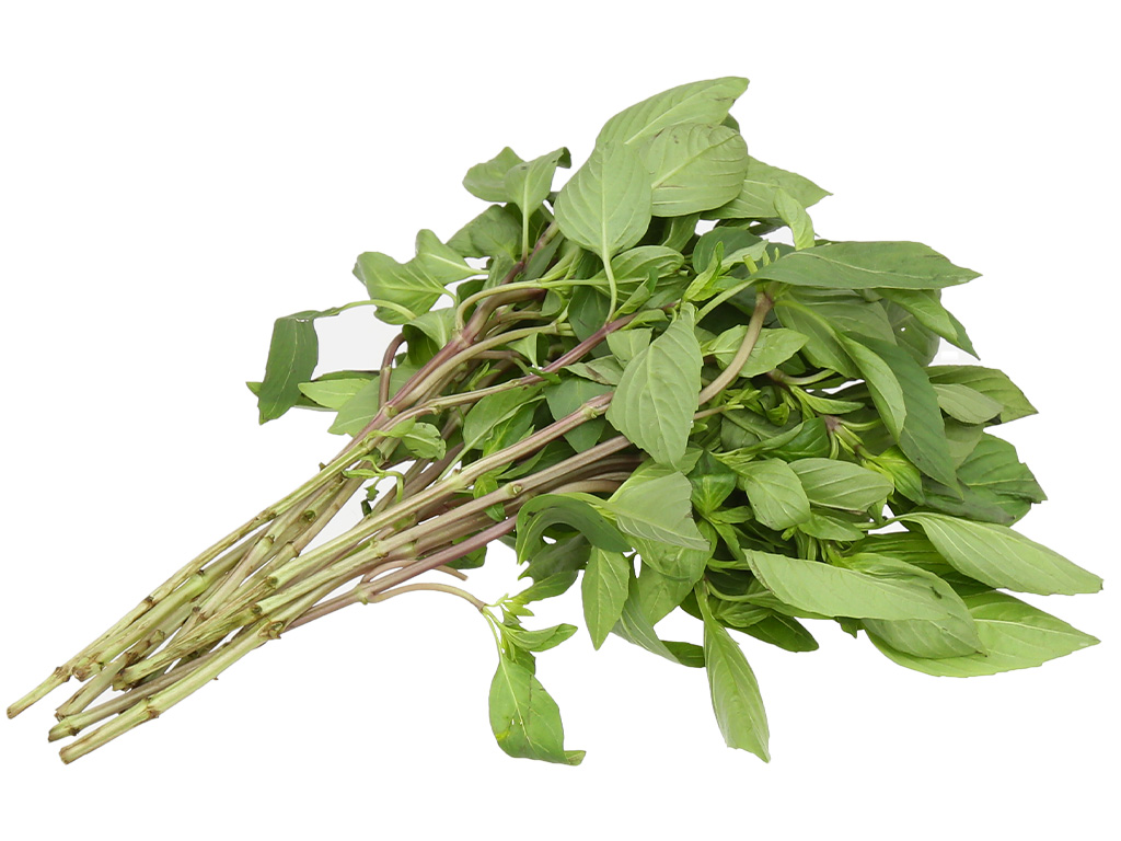 Rau húng quế gói 100g 4