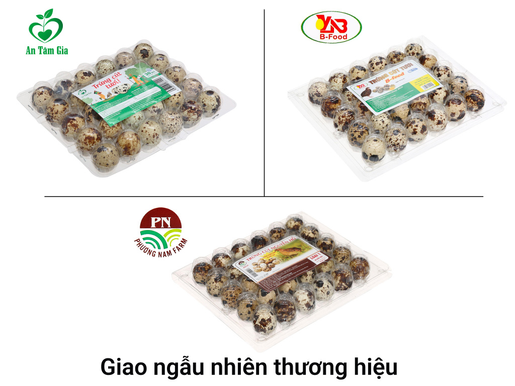 Trứng cút hộp 30 (giao ngẫu nhiên thương hiệu) 2