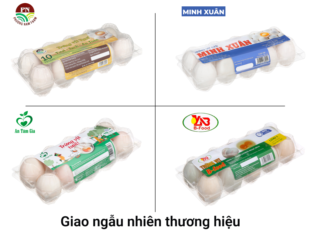 Trứng vịt hộp 10 quả (giao ngẫu nhiên thương hiệu) 1