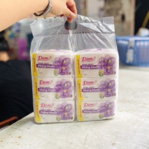 Băng vệ sinh Diana hàng ngày(loại to)/8