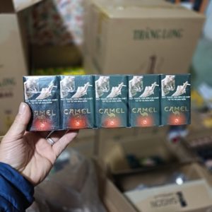 Thuốc lá Camel (lạc đà) Caster Black to/10