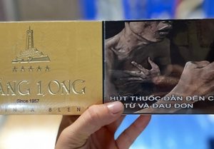 TL Thăng Long bao dày RC Virginia/10