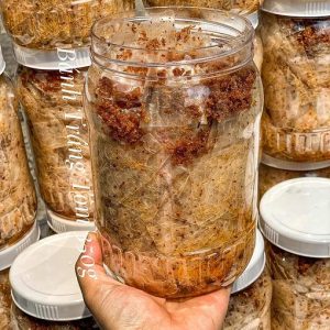 Bánh Tráng Tôm Khô